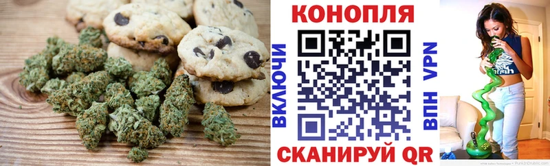 площадка формула  Заполярный  Canna-Cookies конопля 