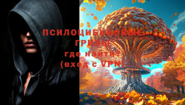 соль курить ск Алзамай