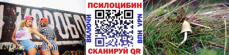 Галлюциногенные грибы Cubensis где можно купить наркотик hydra ССЫЛКА Заполярный